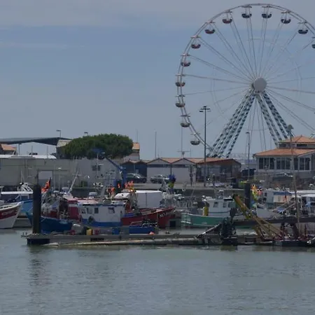 Les Ecureuils * Saint-Palais-sur-Mer